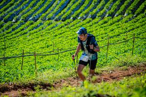 BIB: 2479
                            <button type="button" onclick="openModal(19161716)" class="btn btn-primary btn-sm float-right btn-popup" data-toggle="modal" data-target=".modal-high-quality">
                        <i class="fas fa-shopping-cart"></i> Add to Cart
                    </button>
                                            <button type="button" onclick="isThisMe(19161716, true)" class="btn btn-success btn-sm float-right btn-popup btn-isme hidden" data-toggle="tooltip" data-placement="bottom" title="นี่คือรูปของคุณใช่ไหม คลิกที่นี่เพื่อเอาเข้าอัลบั้ม">
                        <i class="fas fa-plus"></i> Add to album
                    </button>
                    <button type="button" onclick="isThisMe(19161716, false)" class="btn btn-warning btn-sm float-right btn-popup btn-isnotme hidden">
                        <i class="fas fa-ban"></i> Remove from album
                    </button>